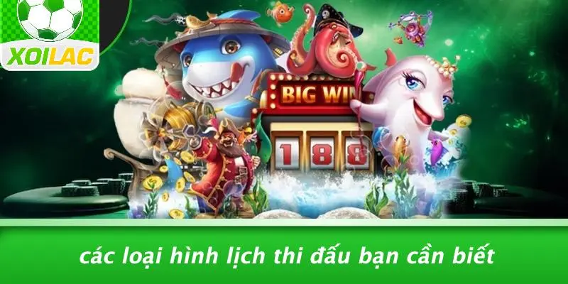 Các Loại Hình Lịch Thi Đấu Bạn Cần Biết