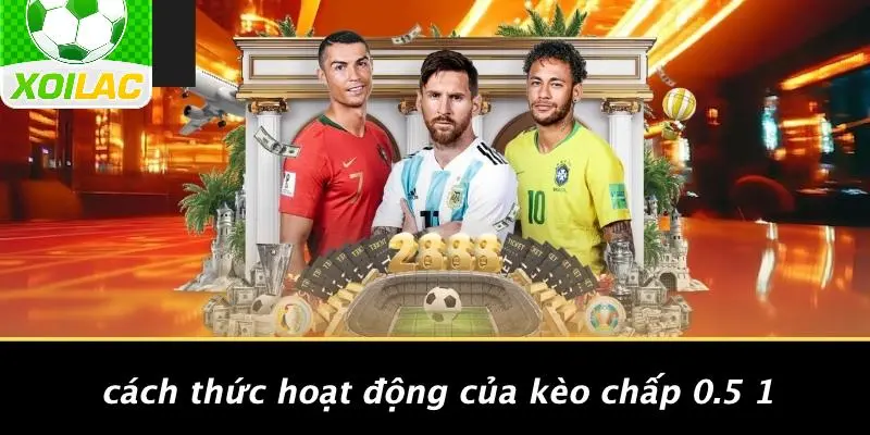 Cách Thức Hoạt Động Của Kèo Chấp 0.5 1