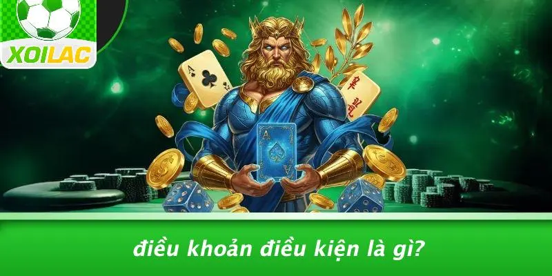 Điều Khoản Điều Kiện Là Gì?