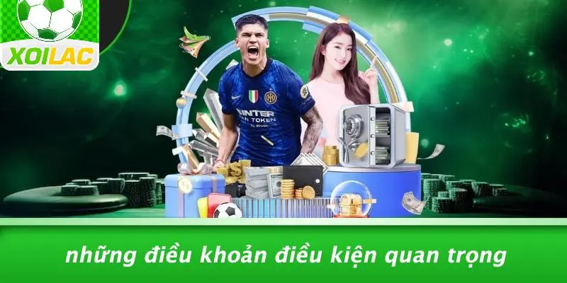 Những Điều Khoản Điều Kiện Quan Trọng