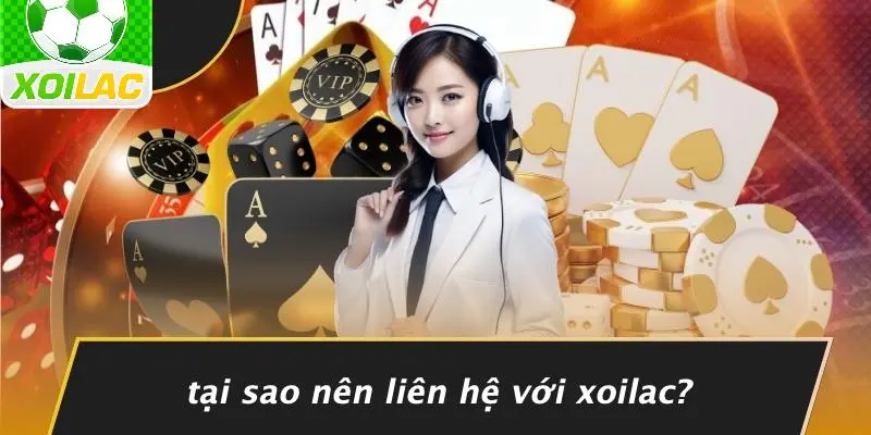 Tại Sao Nên Liên Hệ Với Xoilac?