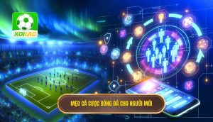 Mẹo cá cược bóng đá cho người mới