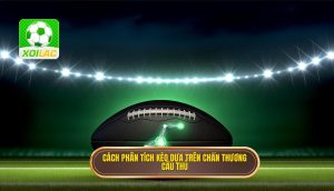 Cách phân tích kèo dựa trên chấn thương cầu thủ