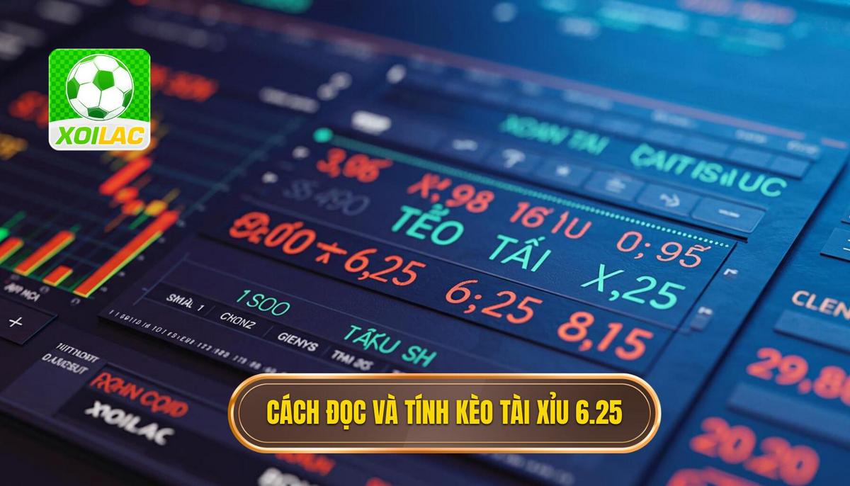 2. Hướng Dẫn Chi Tiết Cách Đọc và Tính Tiền Kèo Tài Xỉu 6.25