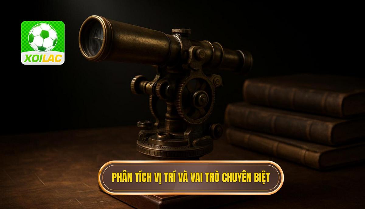 Phân tích Vị trí và Vai trò Chuyên biệt