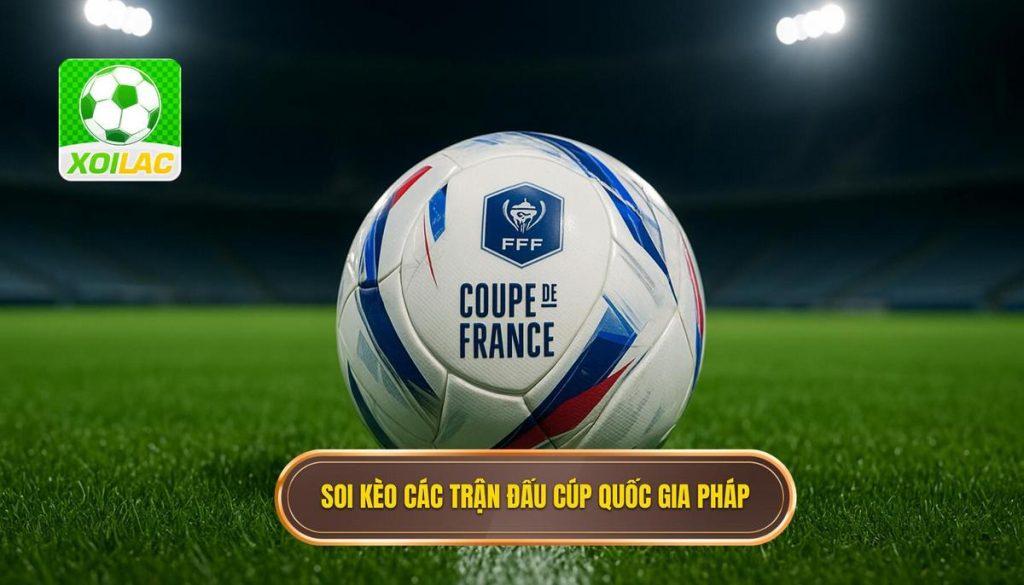 Soi kèo các trận đấu cúp quốc gia Pháp