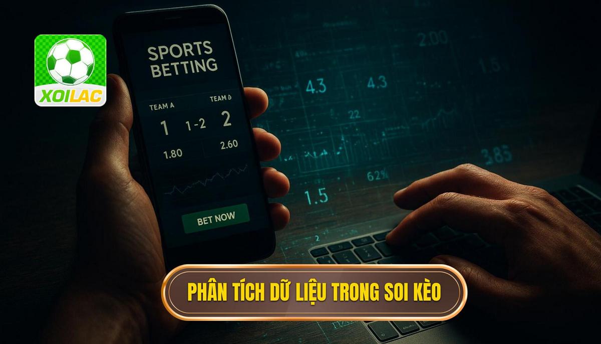 Phân tích dữ liệu định lượng và định tính trong soi kèo