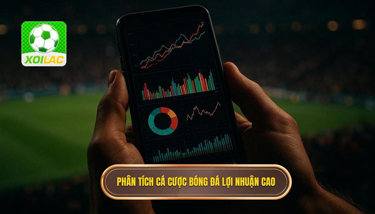 Phân tích bản chất của cá cược bóng đá lợi nhuận cao