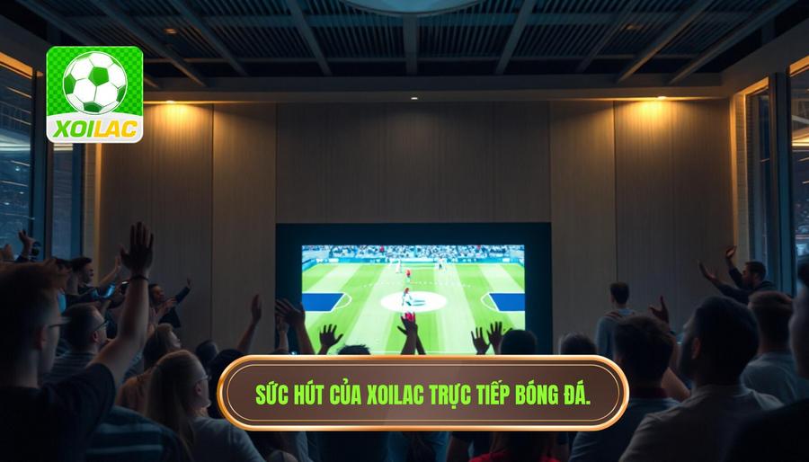 Tại sao Xoilac trực tiếp bóng đá hôm nay lại trở thành từ khóa "hot" nhất? Tại sao Xoilac trực tiếp bóng đá hôm nay lại trở thành từ khóa "hot" nhất?